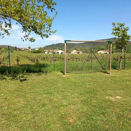 Le Des Vignes