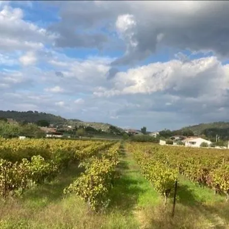 Le Des Vignes Ferienhaus
